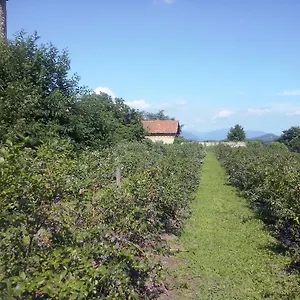 agriturismo-cascina-marinona.it-lombardy.com/